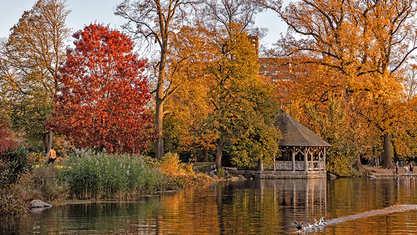 Prospect Park